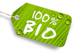 Oekostrom Guetesiegel